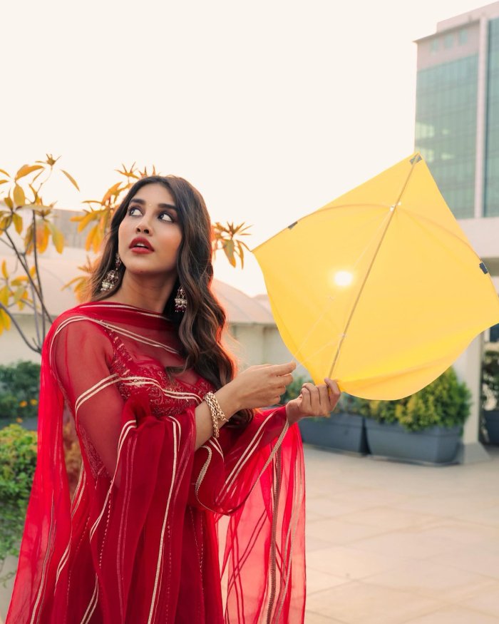 nabha natesh_teluguvox 2